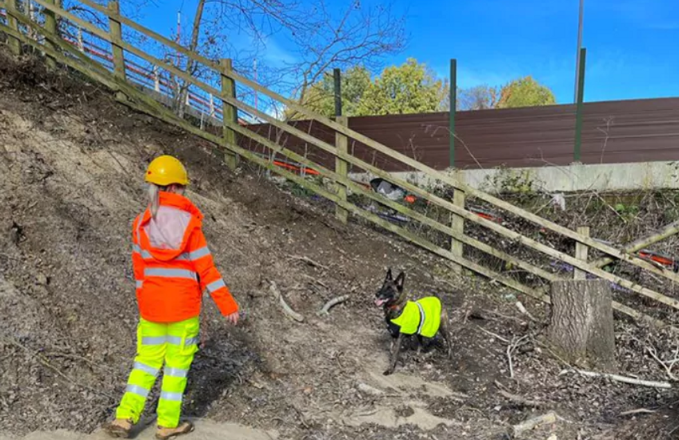 National Highways worker and sniffer dog