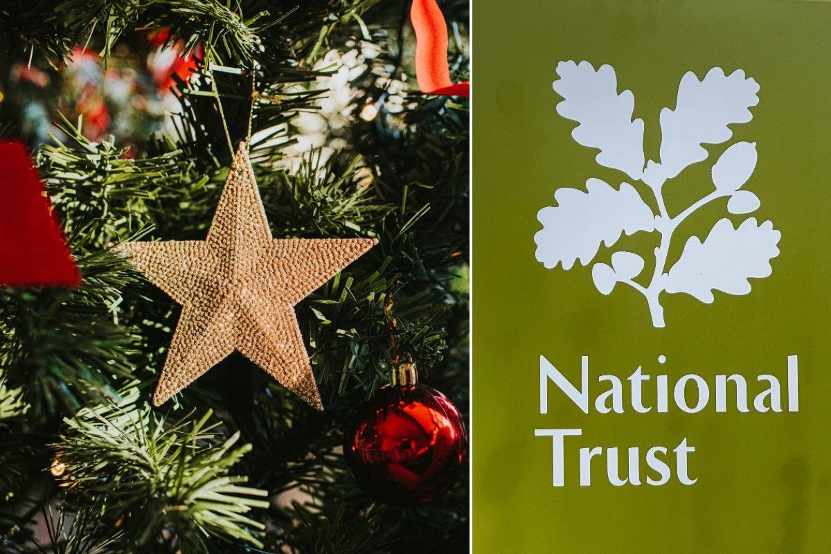 National Trust and Christmas Tree