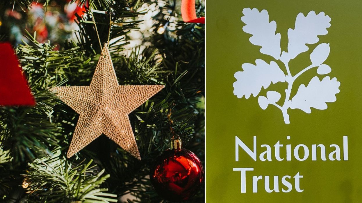 National Trust and Christmas Tree