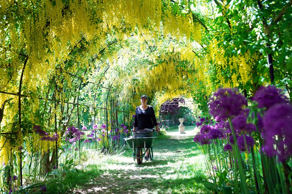 National Trust accused of going 'too woke' after releasing 2024