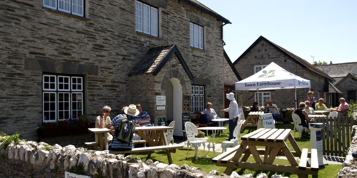 NextImg:National Trust pushes through woke vegan overhaul of cafes despite backlash from members
