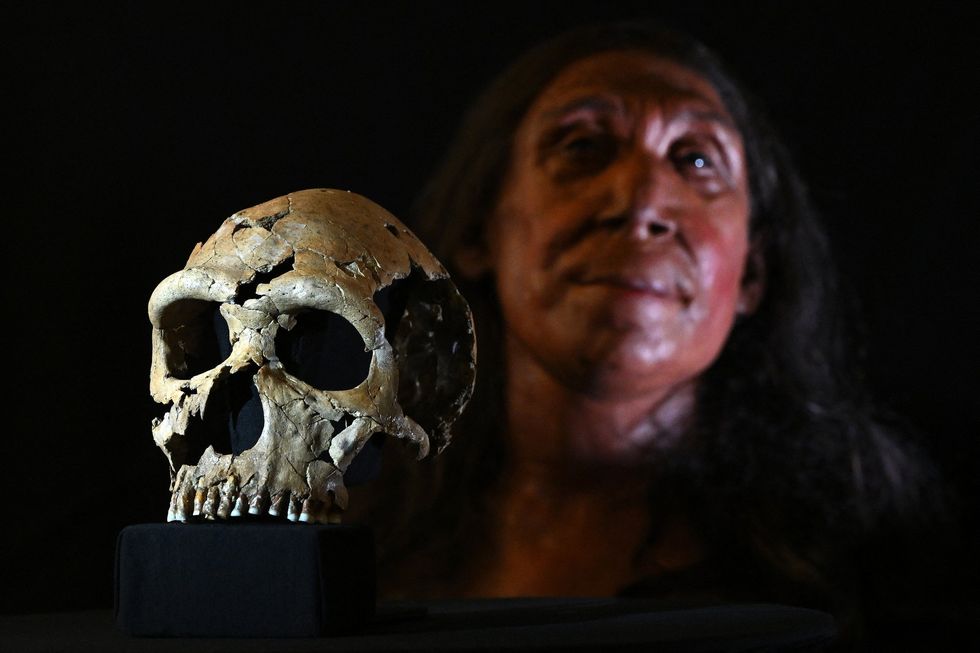 Neanderthal