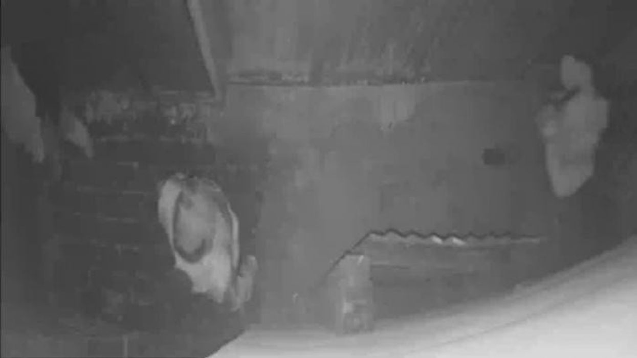 Neighbour from hell jailed after hitting homeowner over head with spade