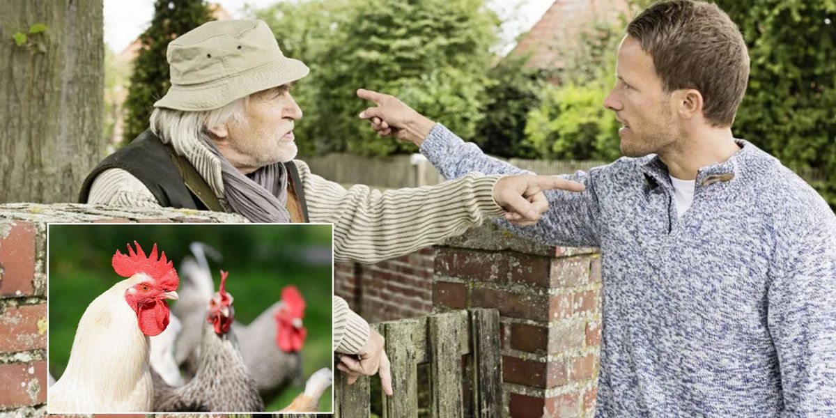 NextImg:Neighbour from hell leaves family in fear of losing their pets over 'single anonymous Facebook complaint'