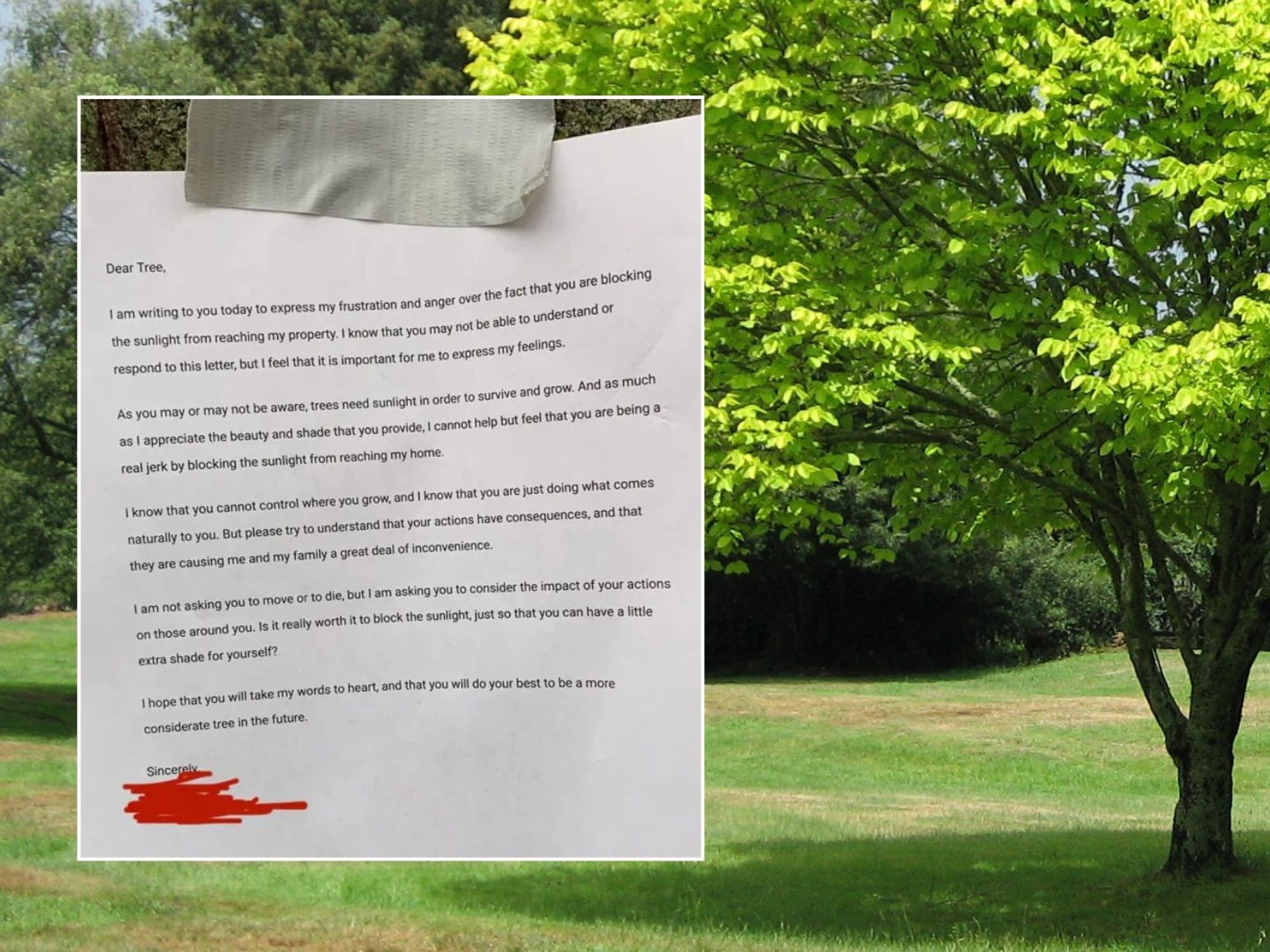 Neighbour from hell writes note to TREE angry that it's blocking sunlight