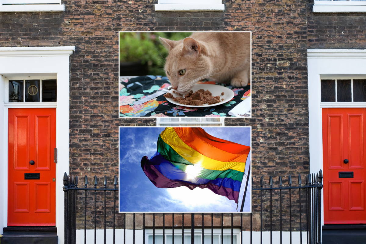 Neighbours/cat eating food/LGBT flag