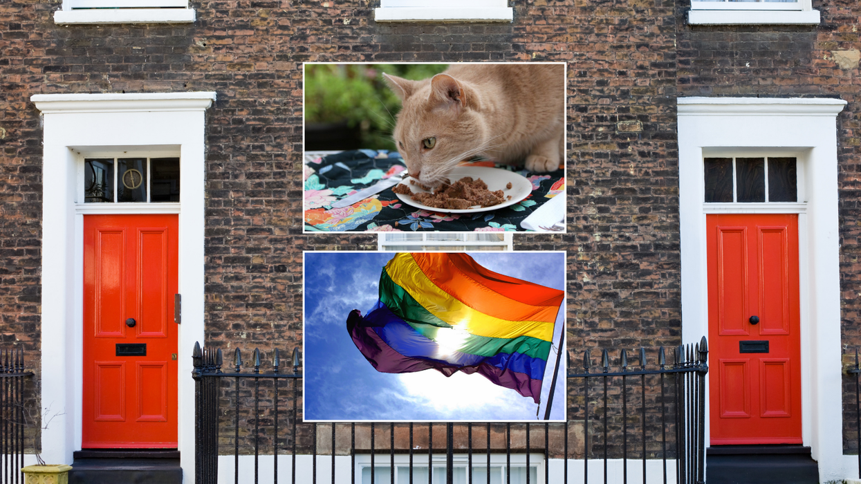 Neighbours/cat eating food/LGBT flag