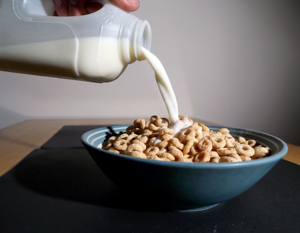 Nestle Cheerios in bowl