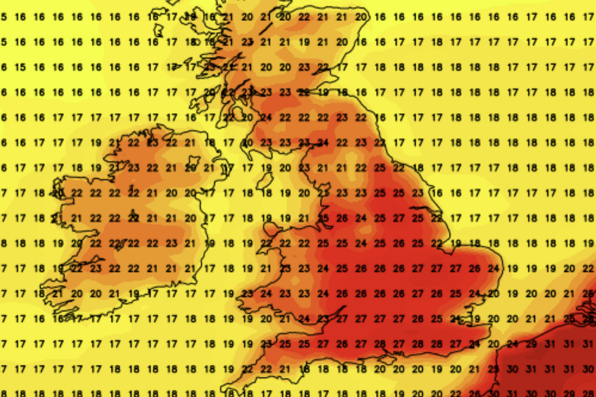 NetWeather's forecast for August 19