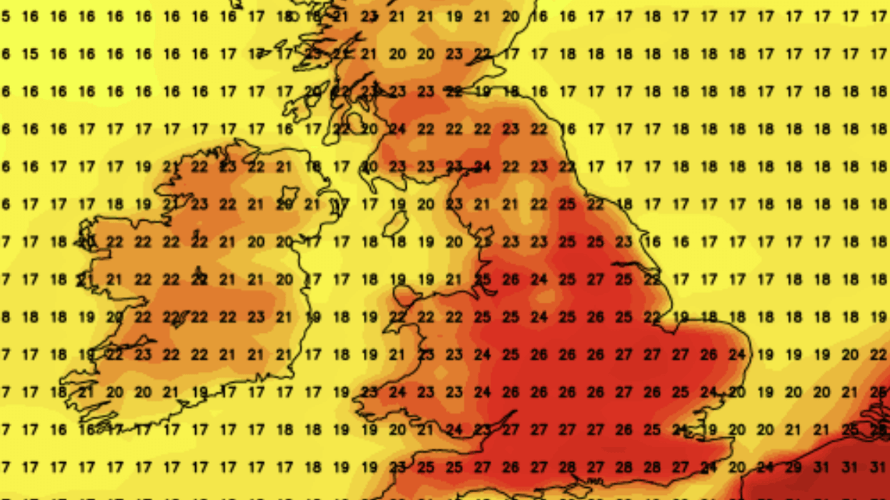 NetWeather's forecast for August 19