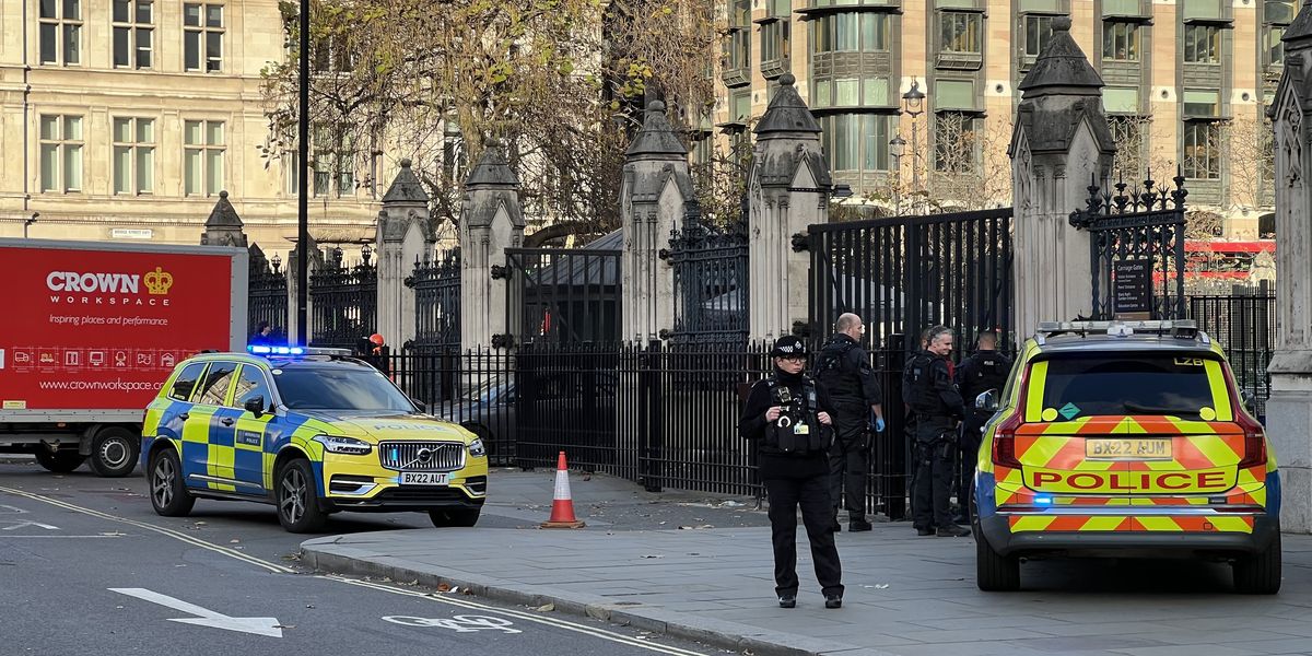 NextImg:Knife-wielding man arrested outside Parliament as police swoop in