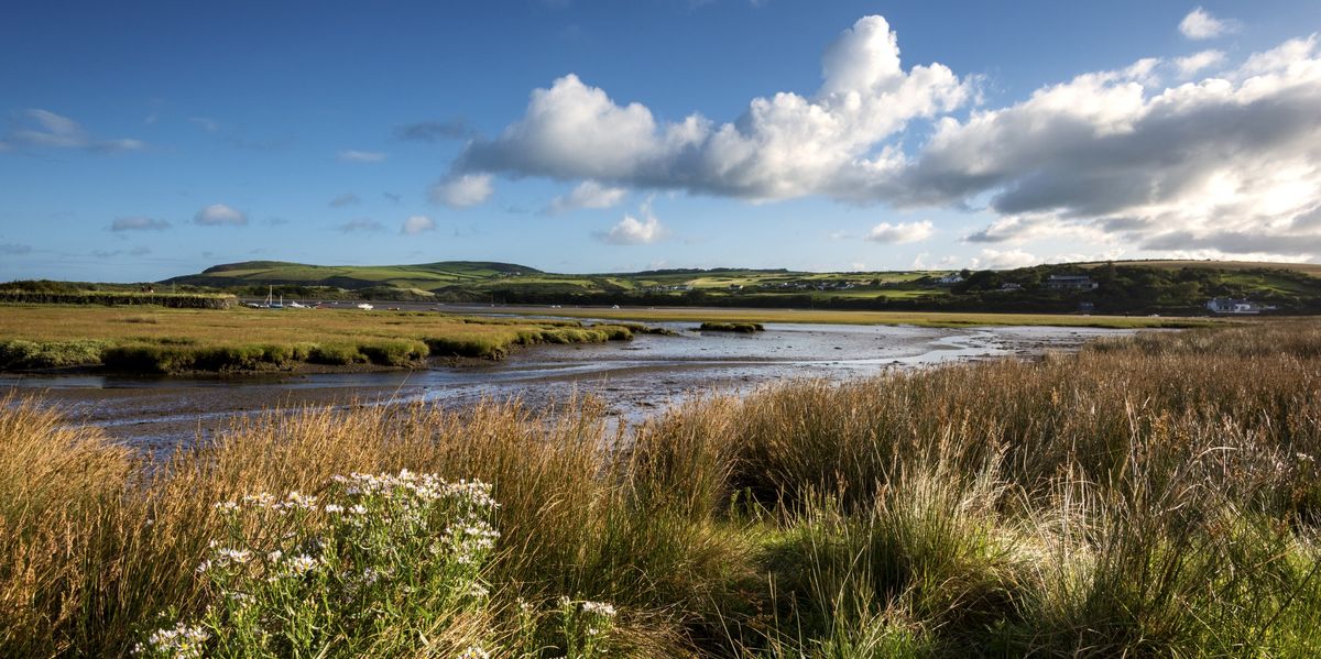 NextImg:Council row erupts as planning permission to use grassy land as a field REFUSED - 'Crazy!'