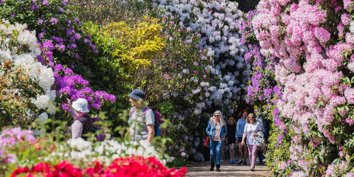 UK weather: Britain set for hottest day of year so far as spring ...