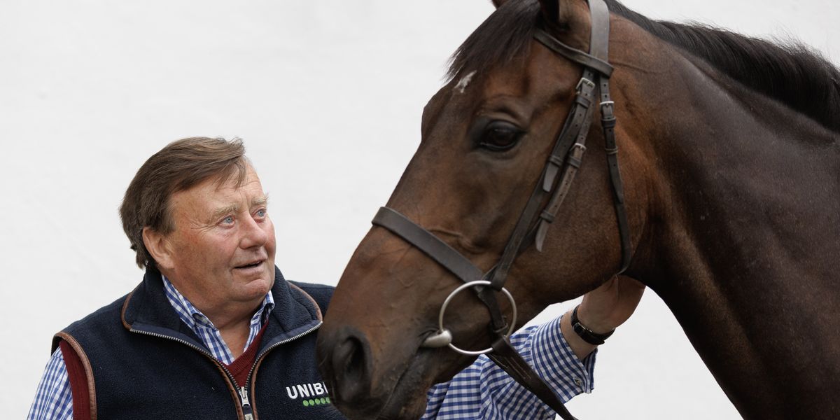 Why isn’t Constitution Hill at Cheltenham Festival? Iconic horse’s absence explained Why isn’t Constitution Hill at Cheltenham Festival? Iconic horse’s absence explained