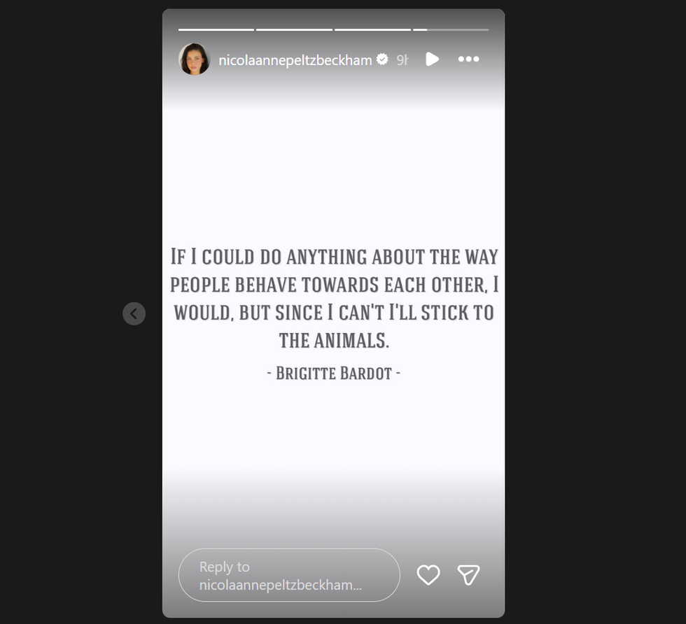 Nicola Peltz Beckham post