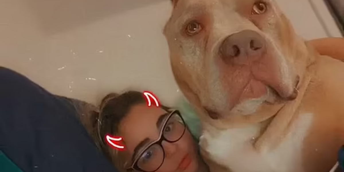 NextImg:XL Bully dog owner mauled to death by pet boasted 'I don't give a f*** if you think he's aggressive' in unearthed video footage