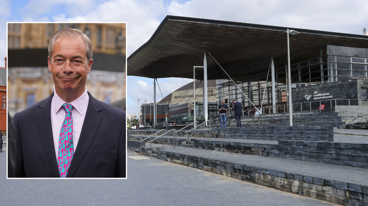 Nigel Farage and a view of the Senedd
