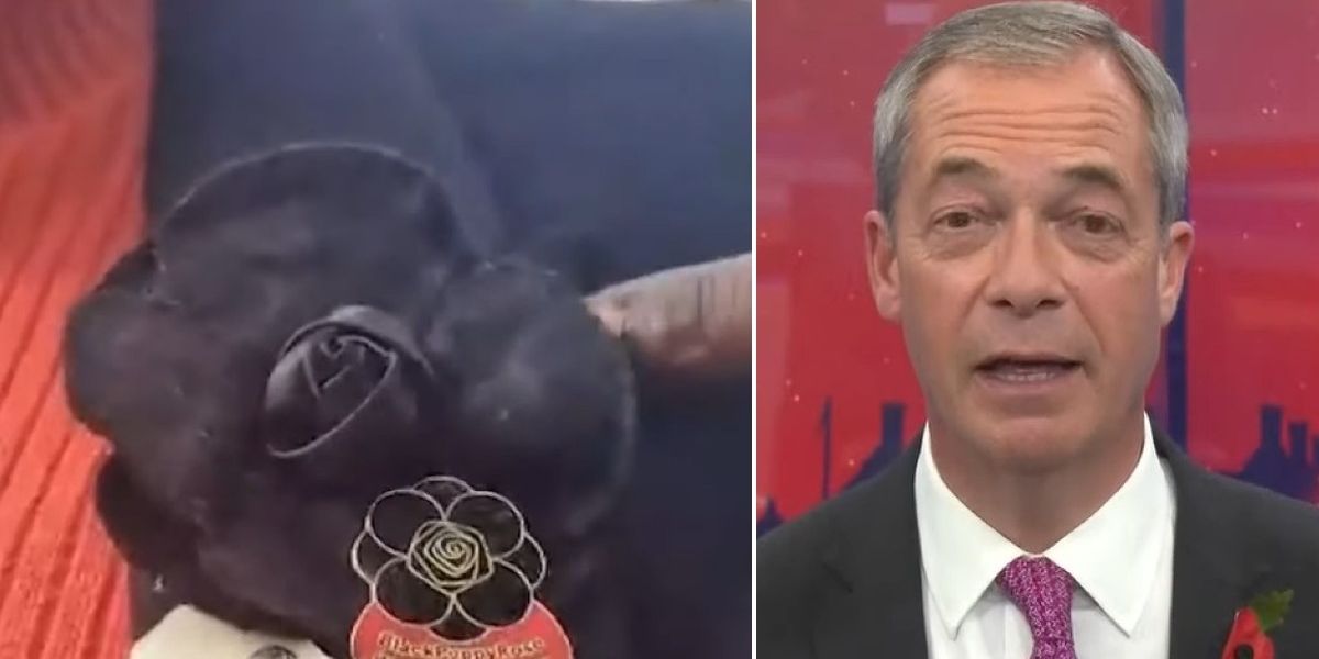NextImg:Nigel Farage fumes over woke Black Rose Poppy: ‘It’s not about class, race or rank’