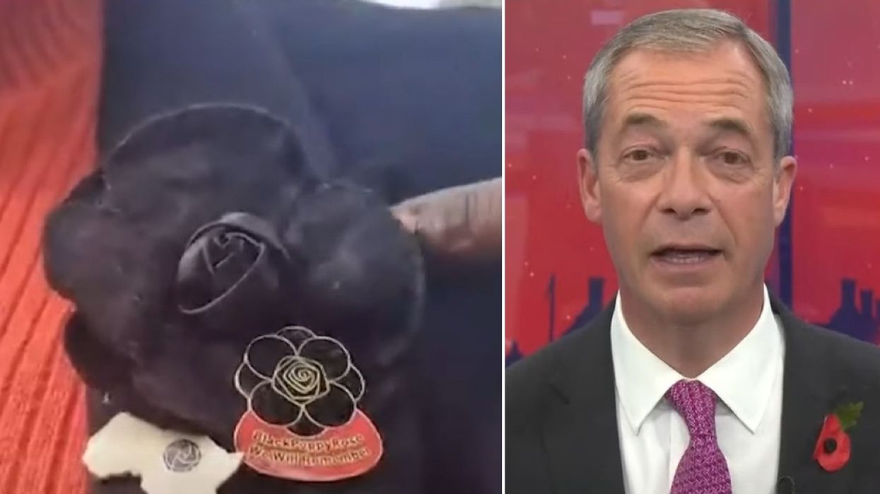 Nigel Farage and Black Rose Poppy