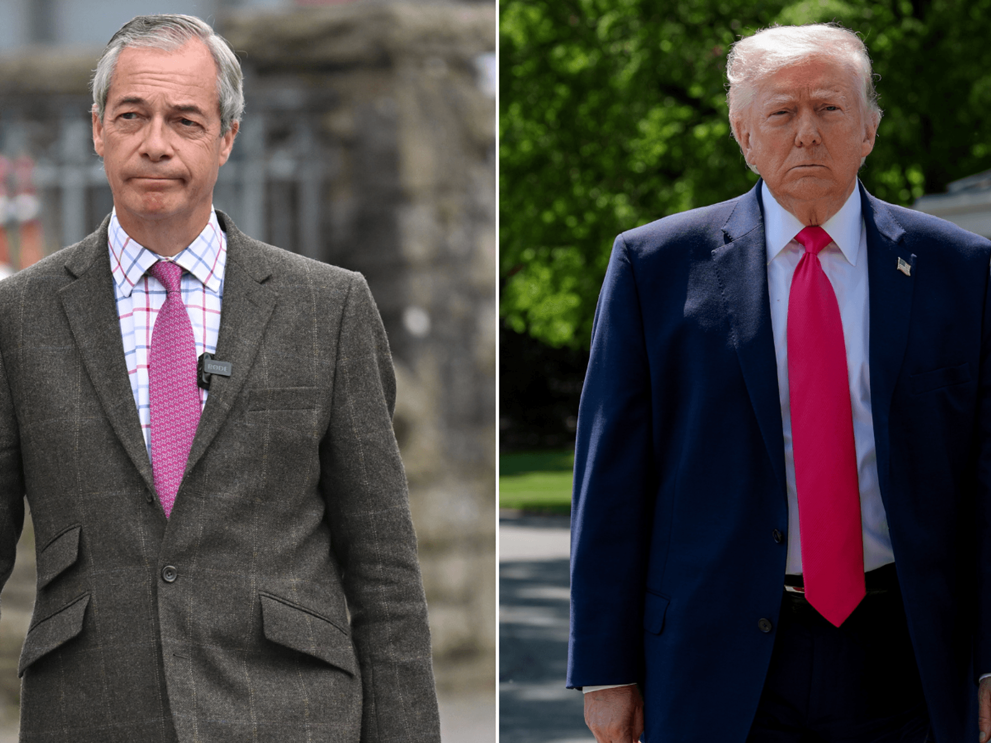 Nigel Farage and Donald Trump