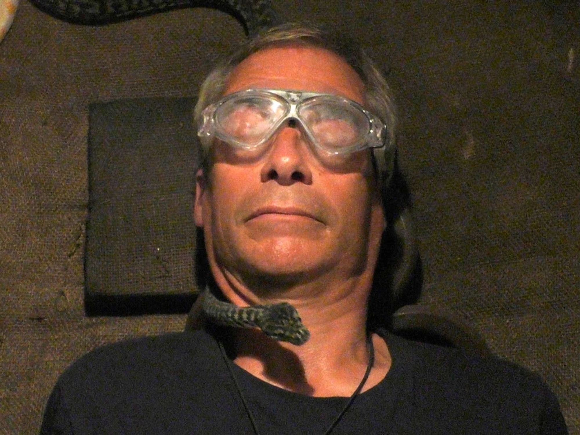 Nigel Farage and snakes