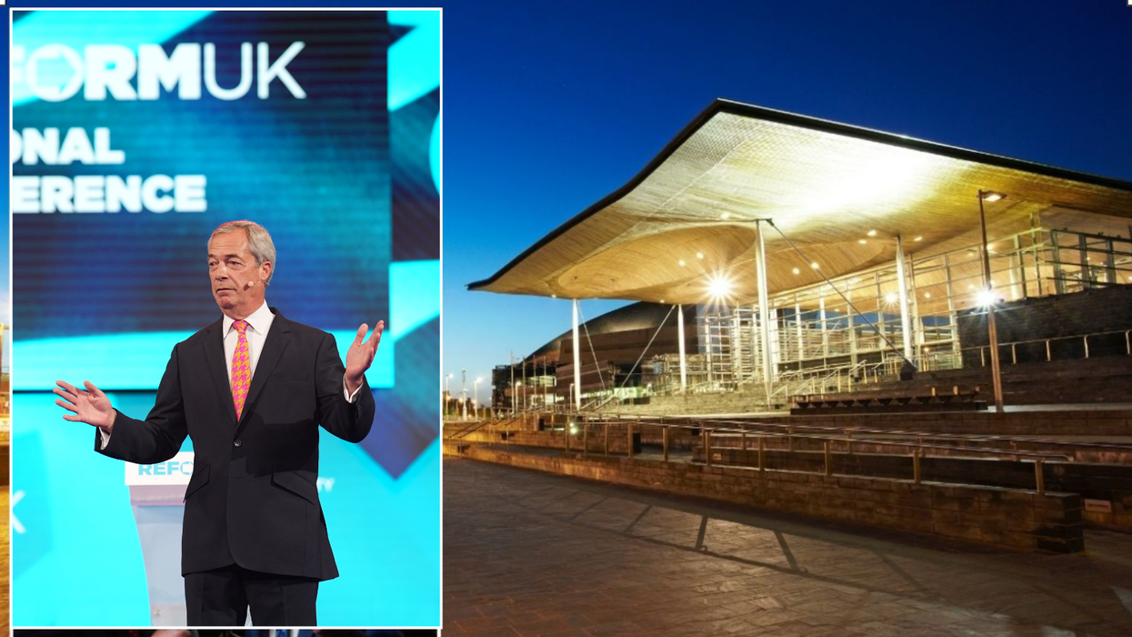 Nigel Farage and the Senedd