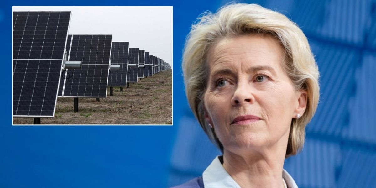 NextImg:EU industry in shambles as cheap Chinese solar panels overwhelm market which has 'nothing left'