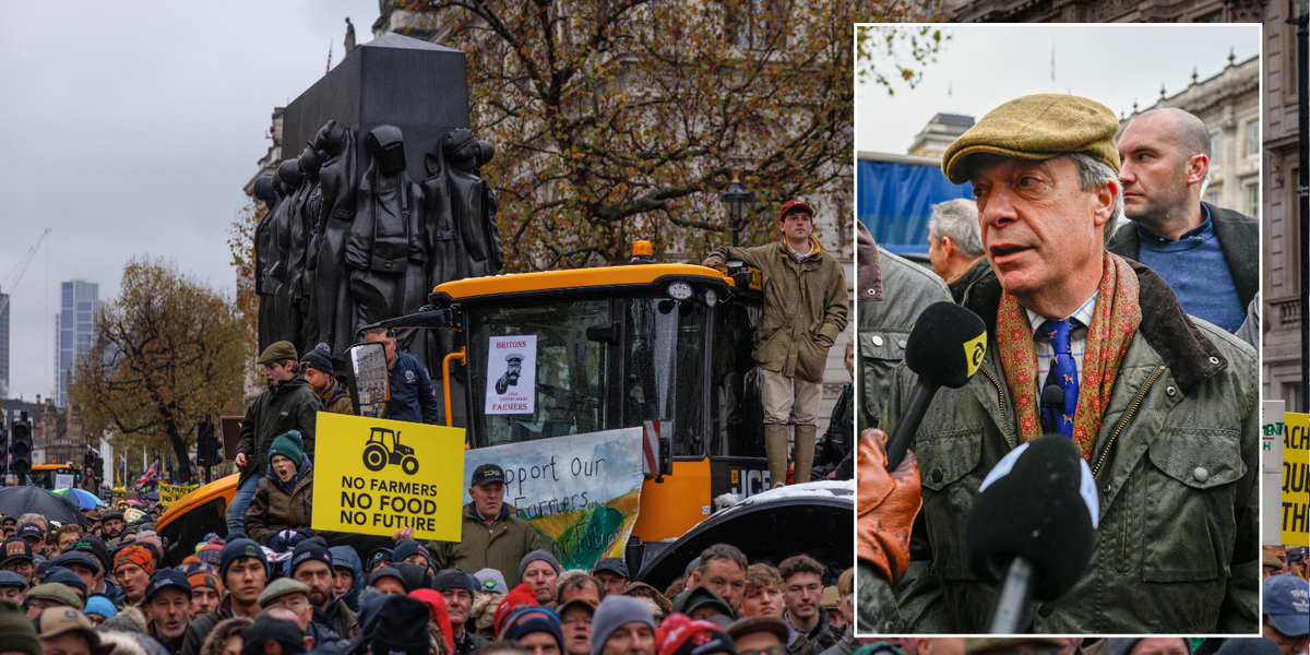Nigel Farage pays tribute to 'British-ness' of protests as he stands ...