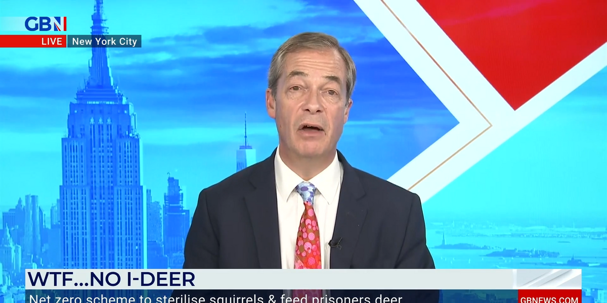 NextImg:'We just need to maintain a sensible balance' Farage claims that there are too many seals in the seas