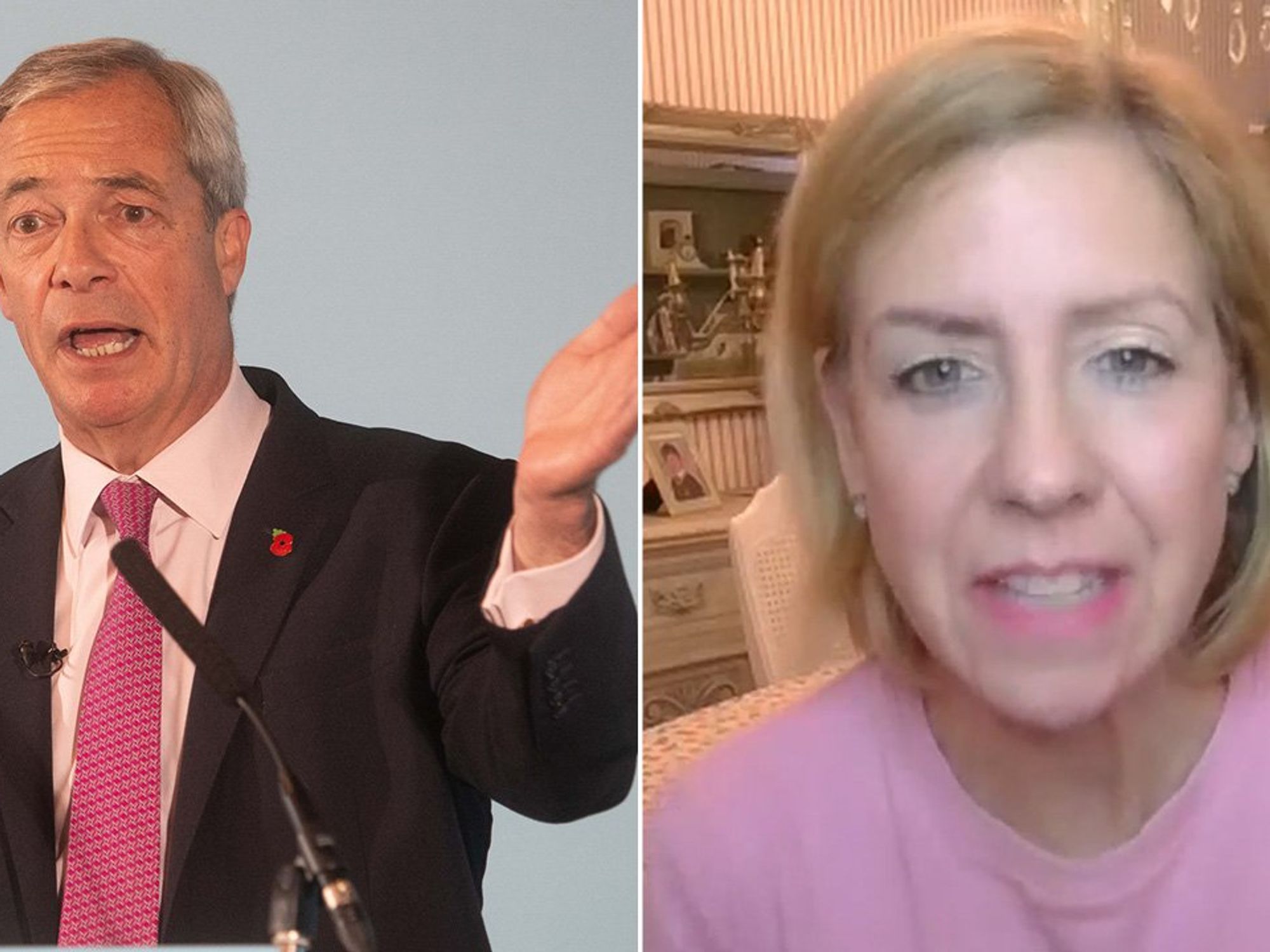 Nigel Farage, Dame Andrea Jenkyns