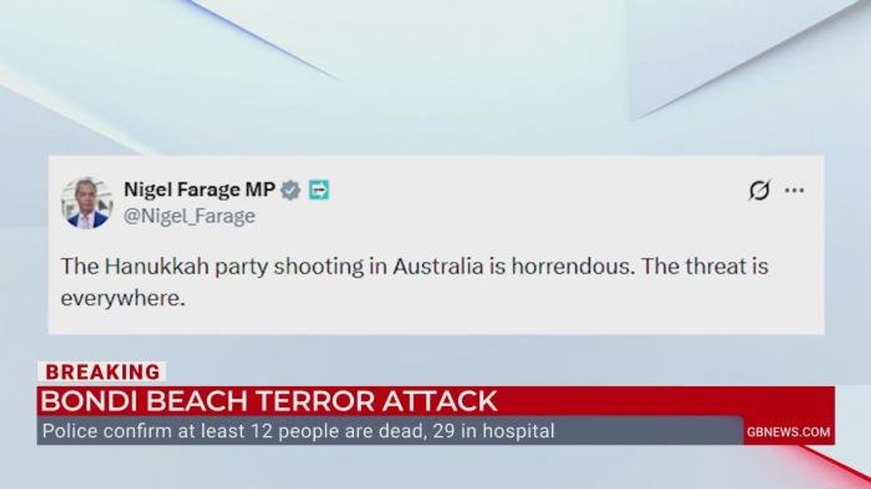 Nigel Farage hails Australian hero for snatching gun from attacker during 'horrendous' Bondi shooting