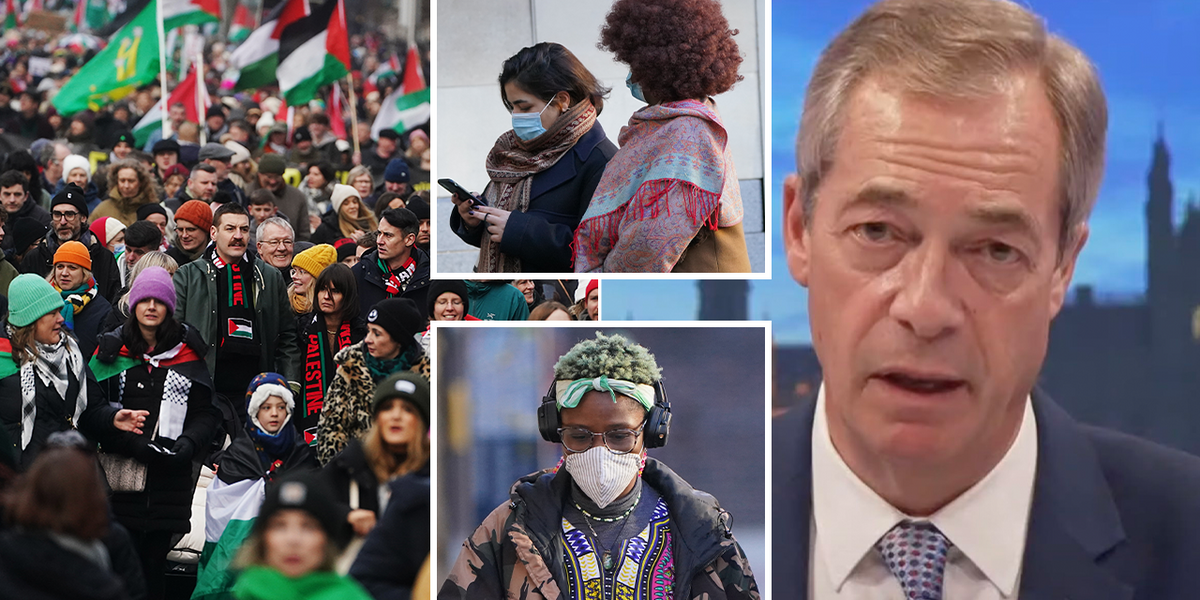 NextImg:Nigel Farage takes swipe at 'political' judge who 'liked' pro-Palestine post