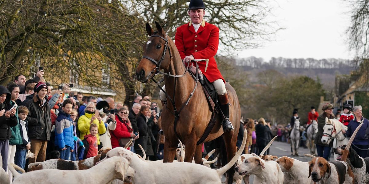 Boxing Day Hunt Given Green Light After Activists Attempted To Replace boxing-day-hunt-given-green-light-after-activists-attempted-to-replace