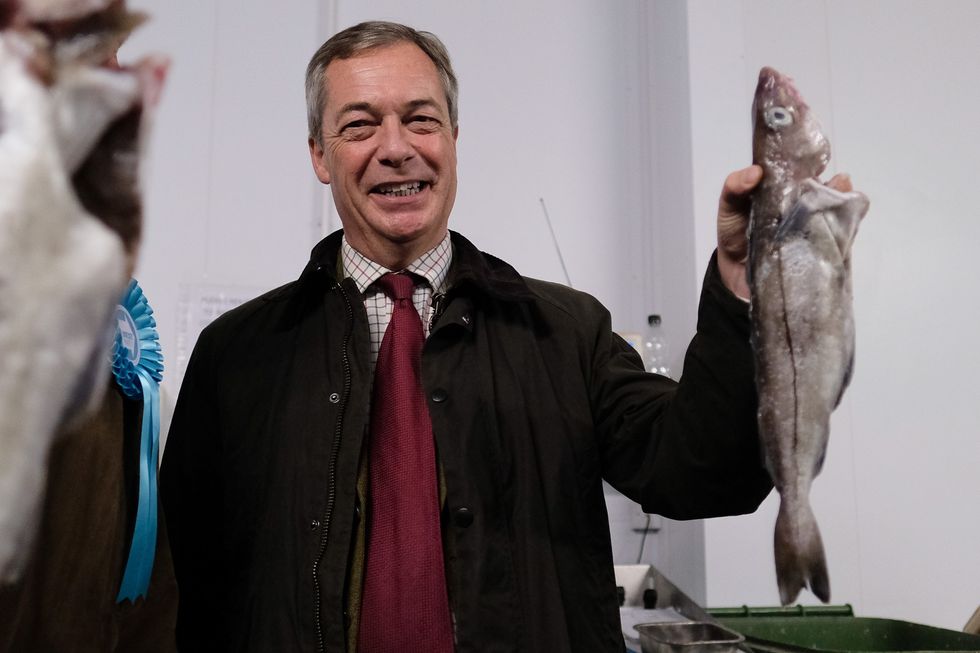 Nigel Farage holds a fish as he visits a fish processing factory in Grimsby Fishing village as part of a media event during the Brexit Party general election campaign tour on November 14, 2019