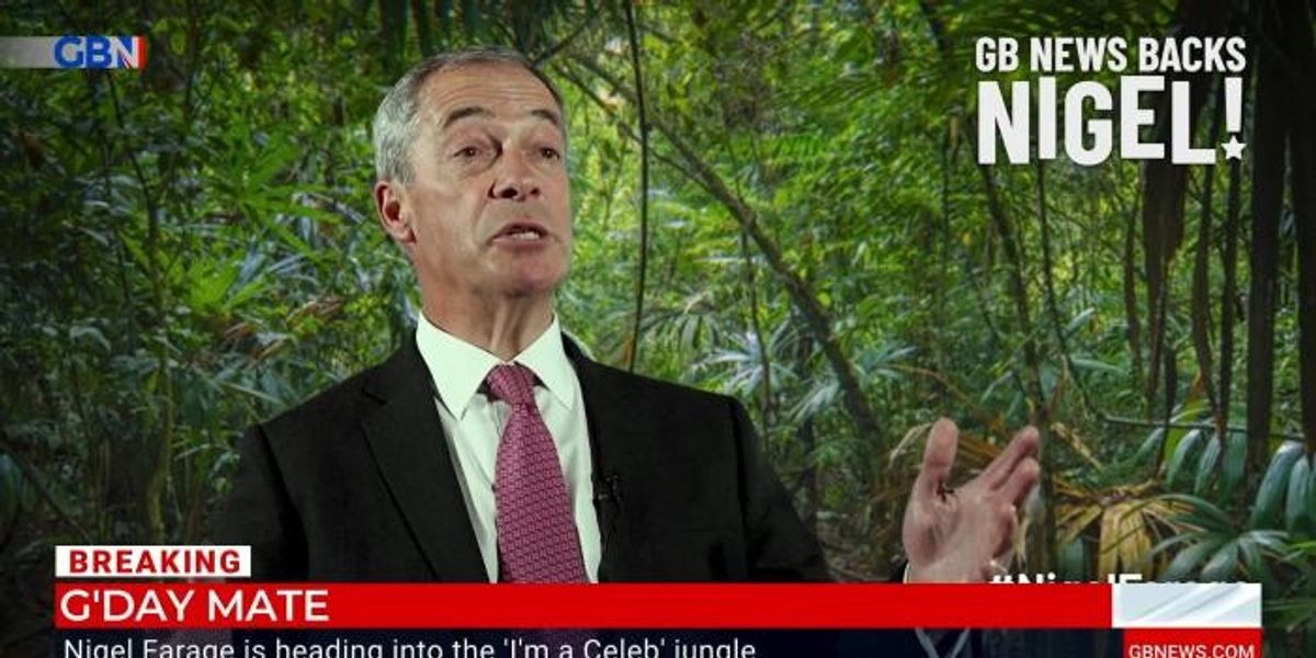 NextImg:'I could get in a fight with someone!' Farage confirms he's heading to the jungle