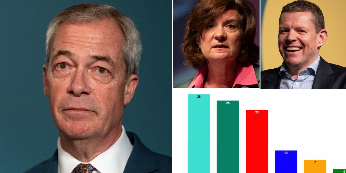 NextImg:REVEALED: New polling figures show Reform could face stumbling block