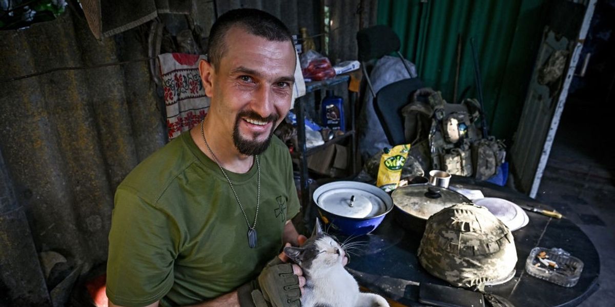 NextImg:Putin's troops 'lured into booby-traps' with cat noises in latest Ukrainian war trick