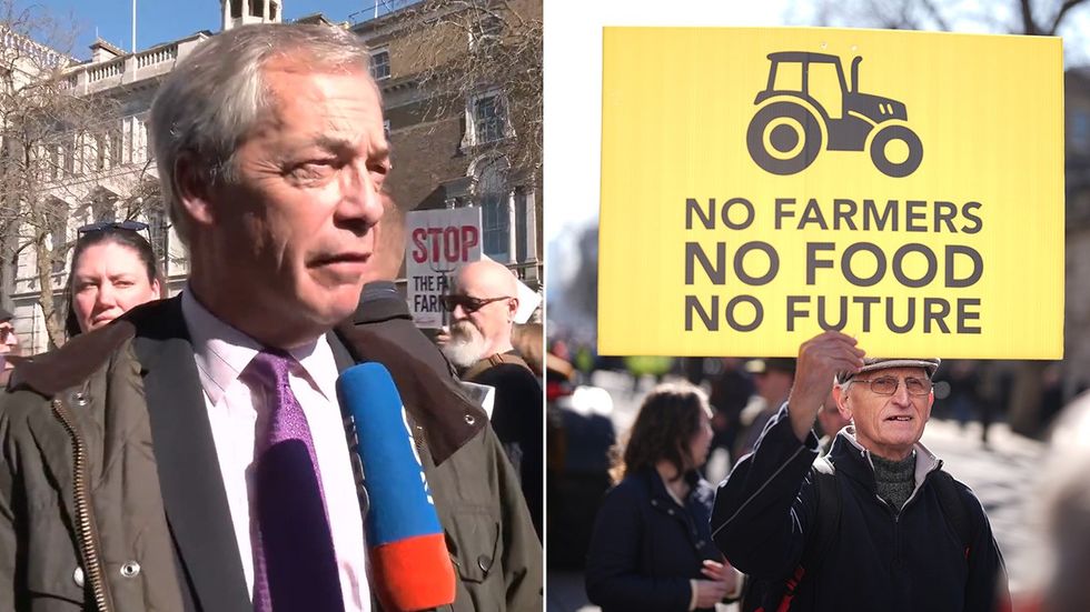 Nigel Farage / Protester