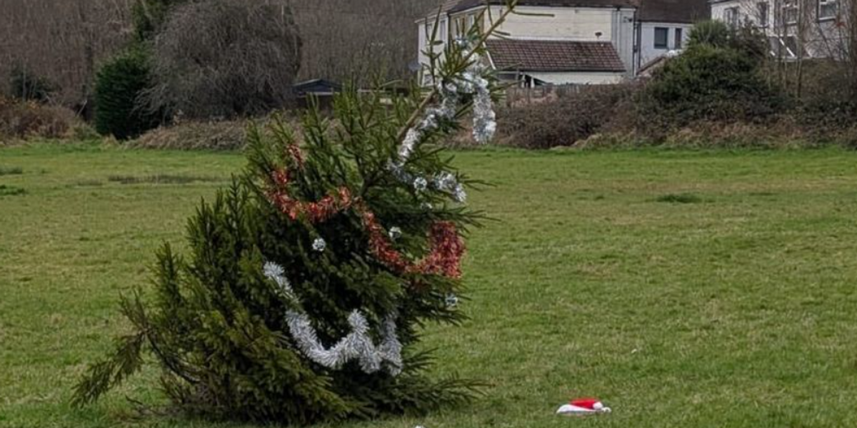 NextImg:Locals fuming with council's measly Christmas tree decorated with just solar-powered lights