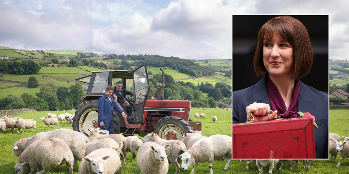 NextImg:REVEALED: Five ways farmers have been shafted by Rachel Reeves that were hidden in the detail