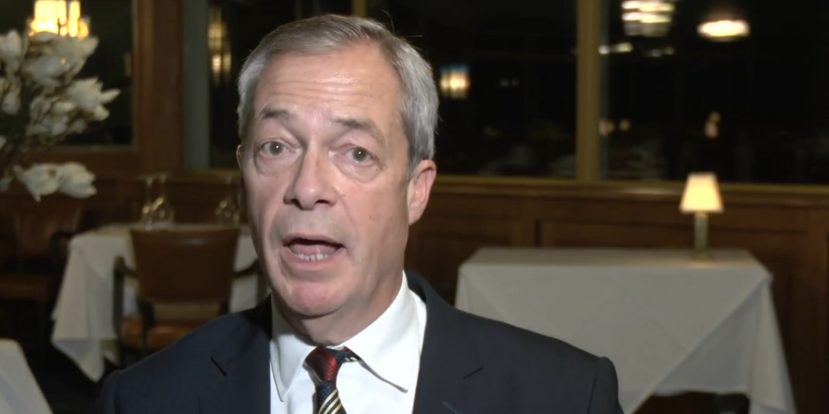 NextImg:Nigel Farage to ‘explain’ why he won’t work with Tommy Robinson to Elon Musk: ‘Things aren’t as they look’
