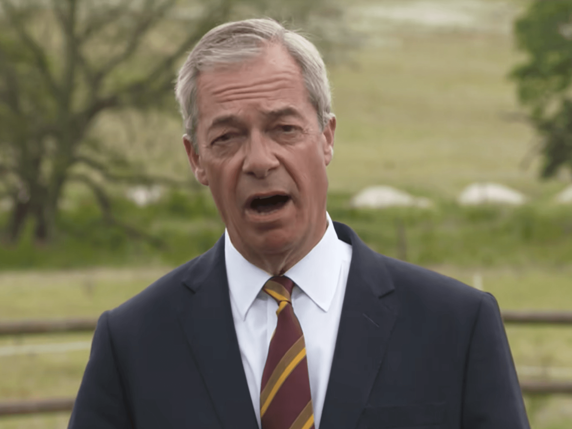 Nigel Farage
