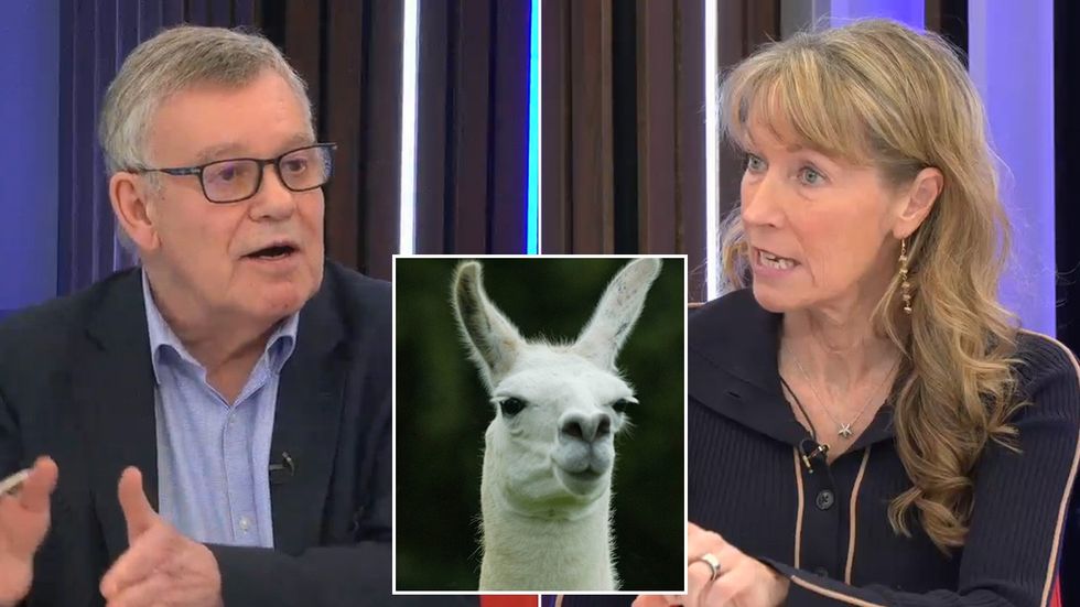 Nigel Nelson, llama, Dr Renee Hoenderkamp