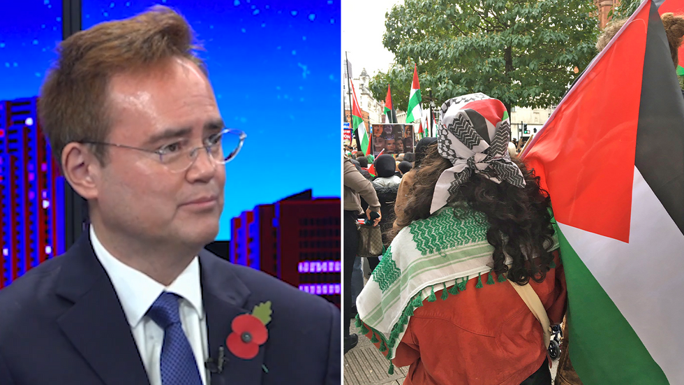 Nile Gardiner and pro-Palestine demonstrations in London