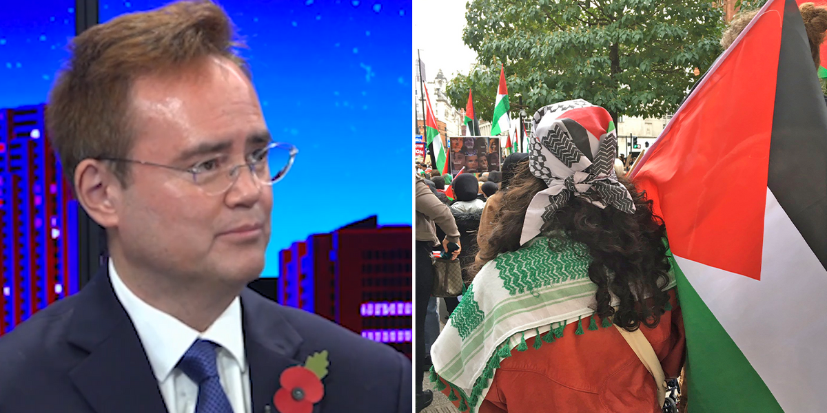 NextImg:'PRO-PALESTINE supporters support HAMAS!': Former Margaret Thatcher adviser slams 'Free Palestine'