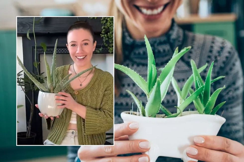 Nina holding aloe vera plant / Woman holding aloe vera plant