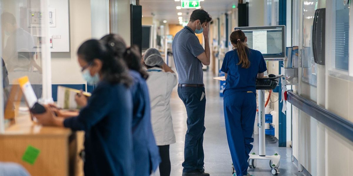 NextImg:NHS hospitals set race quotas to win diversity awards under ‘anti-racism’ scheme