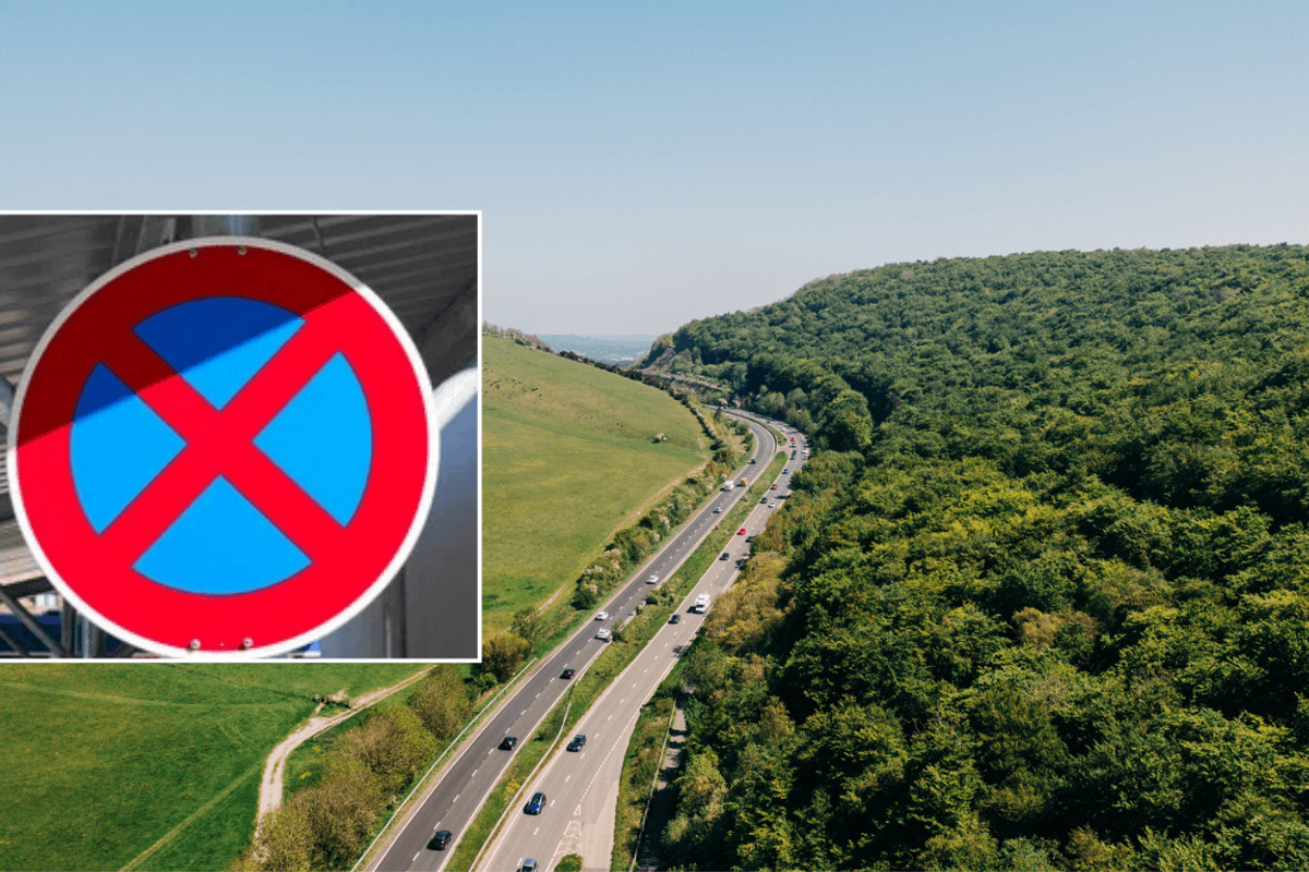 No stopping sign and New Forest