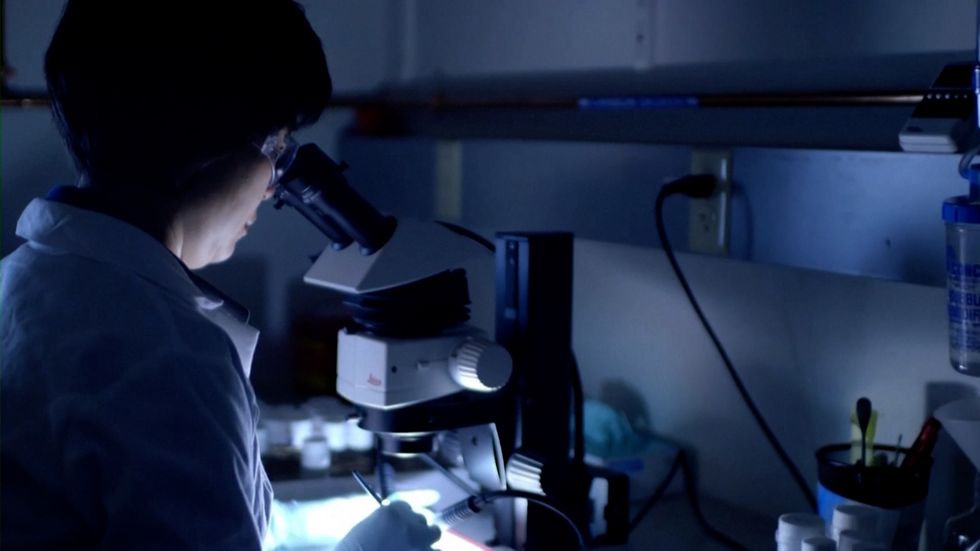 The end of Alzheimer's? Wonderdrug Lecanemab hailed as 'momentous' breakthrough