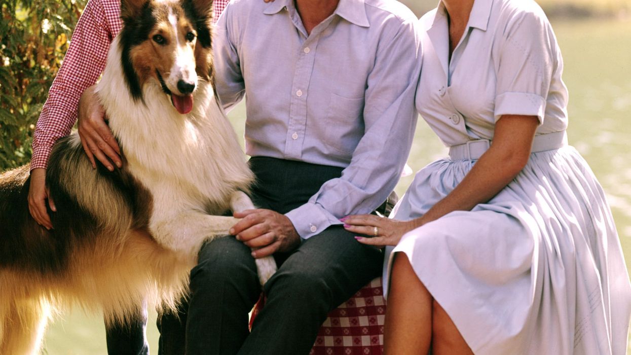 Lassie and Lost in Space star June Lockhart dies at 100 as daughter shares moving tribute